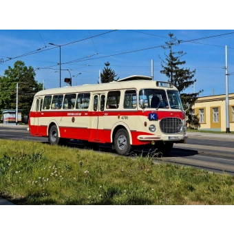 Historickým autobusem Škoda 706 RTO na výlov Jevanského rybníka